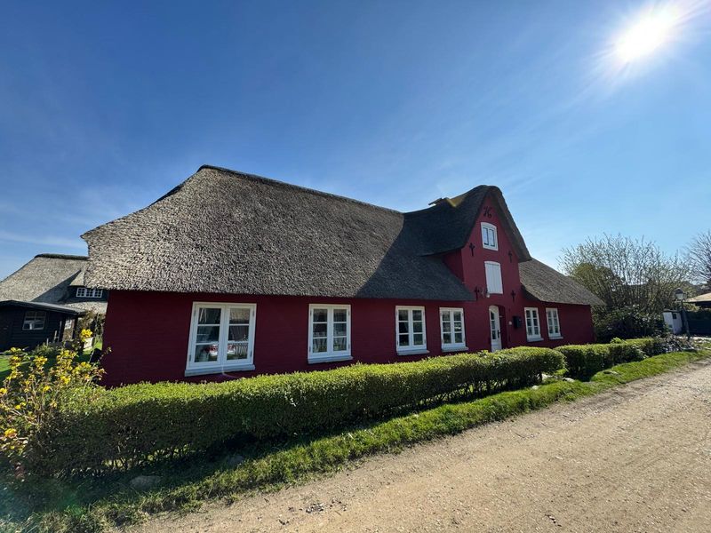 Reetgedecktes Friesenhaus in Nebel